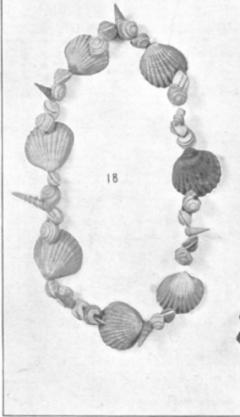Figure 18 of Lovett and Wright, 1908: Shell necklace from Southport, possibly 1940.12.035